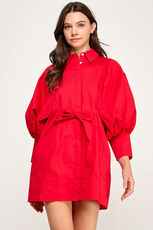 Remi Statement Sleeve Shirt Dress