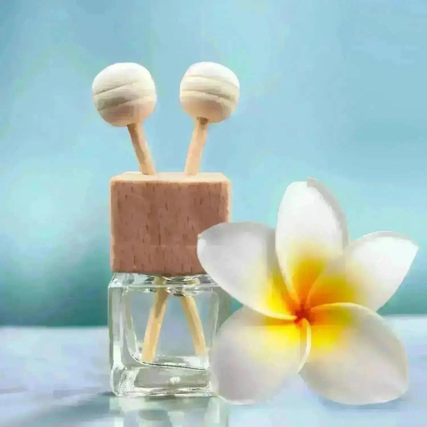 Mini Car Diffuser | Beach House