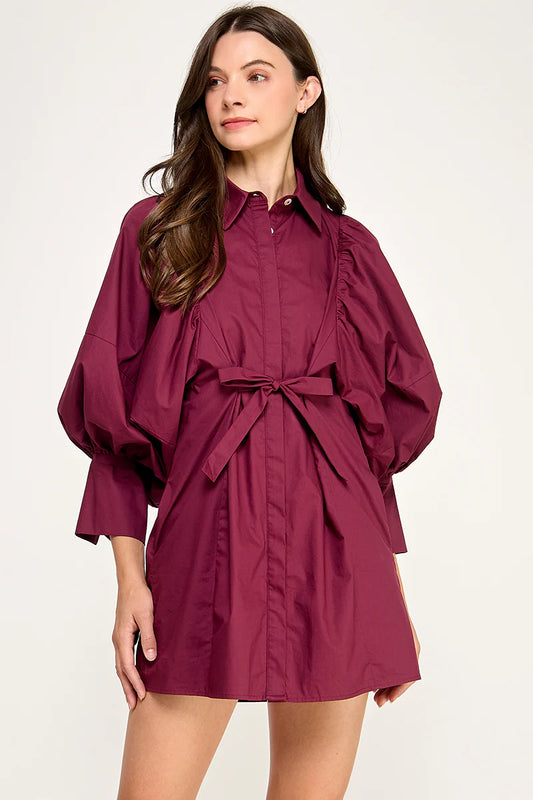 Remi Statement Sleeve Shirt Dress